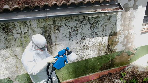 Top rated local Attic Mold Removal specialists in Broad Run, VA